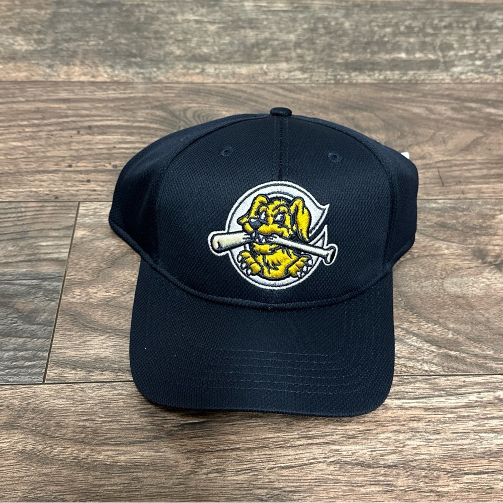 OC Sports MIN-350 MiLB Charleston River Dogs Cap Adult